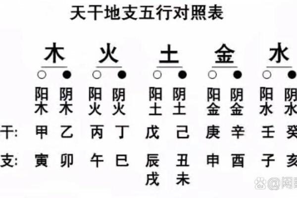 地支详解之酉的五行与象征意义 地支详解之酉的五行与象征意义