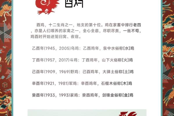 地支详解之酉的五行与象征意义 地支详解之酉的五行与象征意义