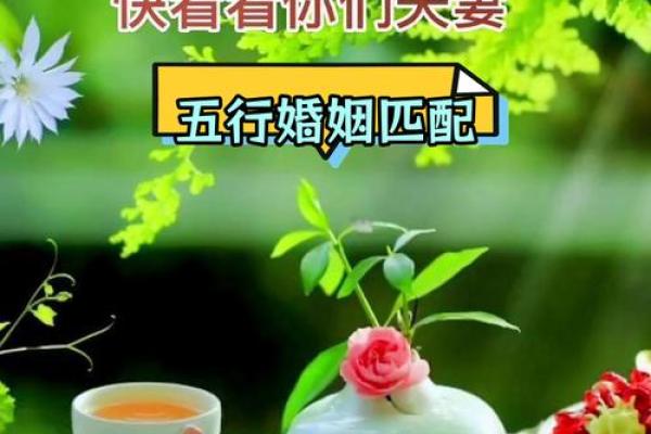 八字神配，五行匹配，姻缘天定，爆款合婚秘籍