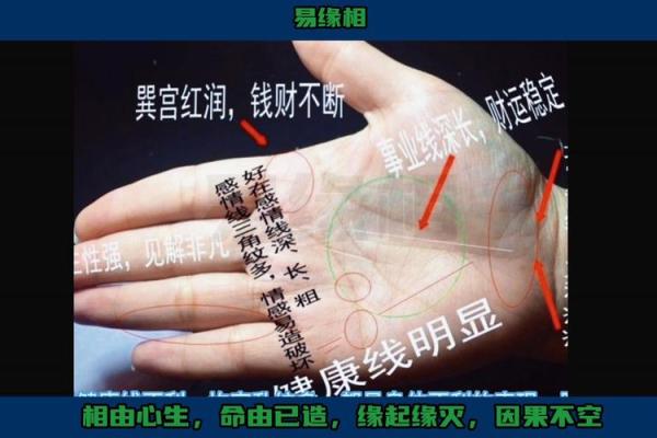 一掌在手，财运亨通！手相解析大揭秘！