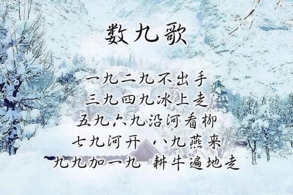 四九佳节，探寻民间特色民俗