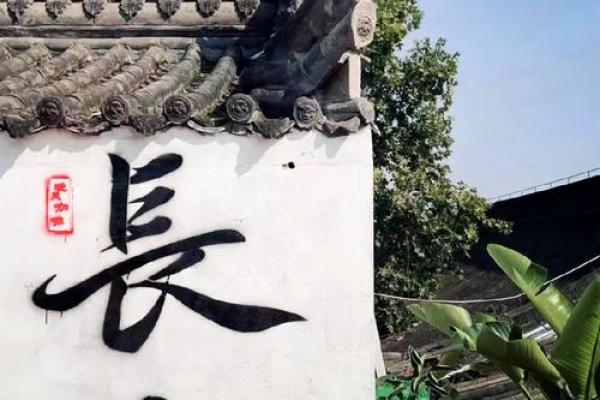 探秘“biang”字的文化魅力与传统底蕴