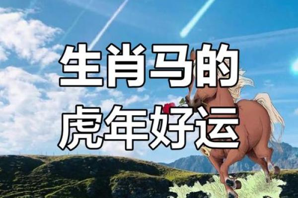 属马人2024年运势大揭秘：财运亨通，福星高照
