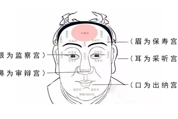 面相解码：揭秘智慧之星的神秘面相特征