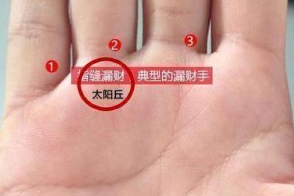 手相大师教你识财运：大鱼际透露的惊人秘密