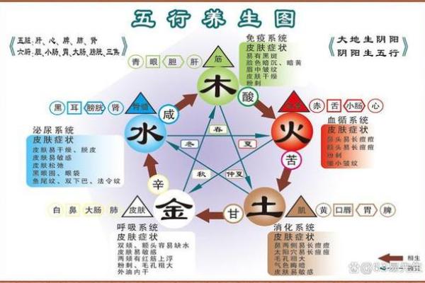郎五行属性对健康的作用