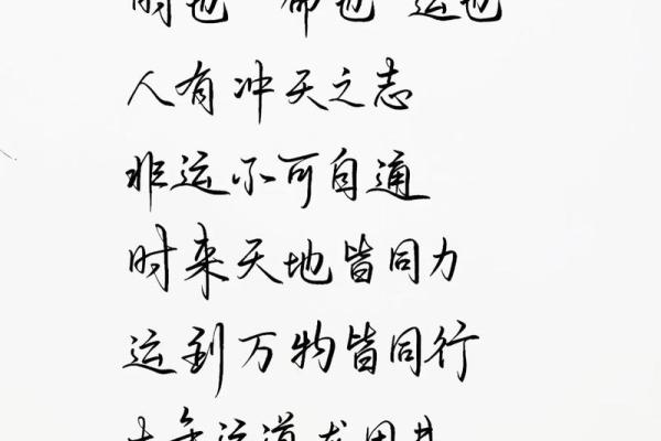 段建业命理精髓：解锁命运密码，成就非凡人生！