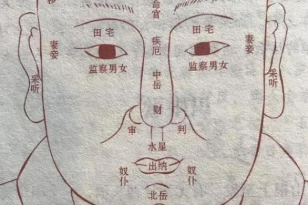 眼白如雪，运势亨通——揭秘白眼珠面相的秘密