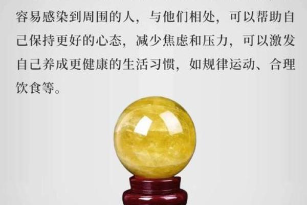 一本读懂命理：轻松掌握人生运势，成就非凡人生