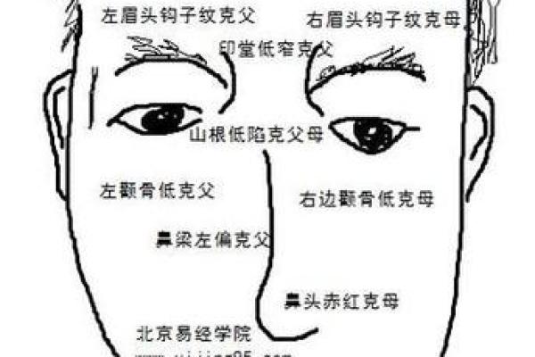 方额头女孩面相：财运亨通，事业有成之面相解析