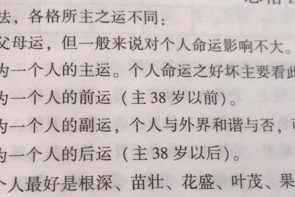 华盖命格：揭秘你的神秘天赋与命运转折