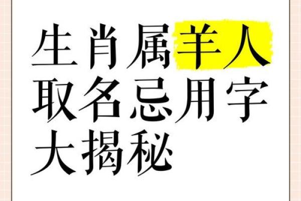 熊姓羊宝宝取名两例