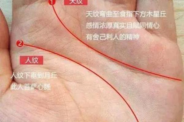 手相秘籍，揭秘你的命运密码，笑出腹肌的神奇技巧！