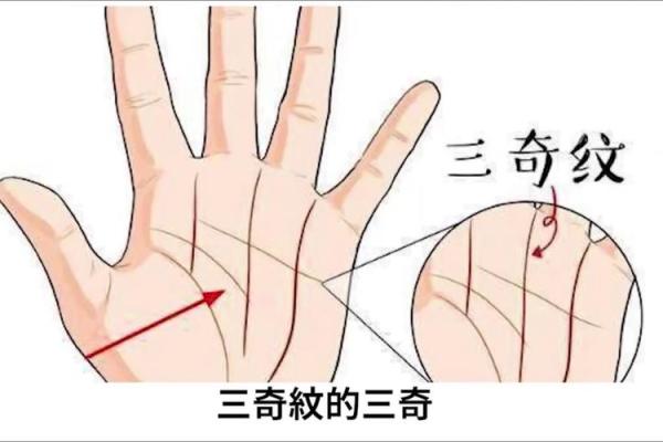 千年秘术揭秘：罕见手相背后的惊人秘密！