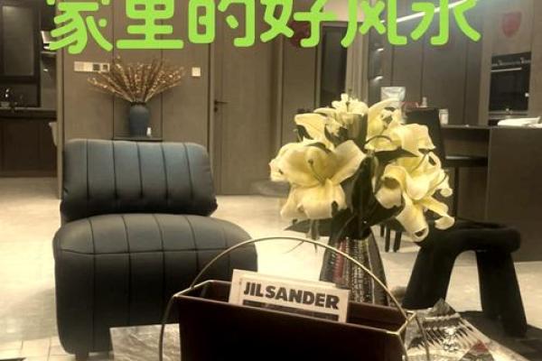 风水宝地，家居摆设秘籍，一招提升运势的爆款家具布局图