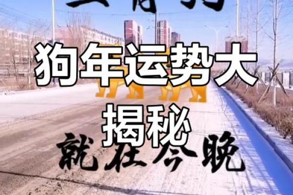 属狗70年运势：金狗翻身，财运亨通，健康长寿