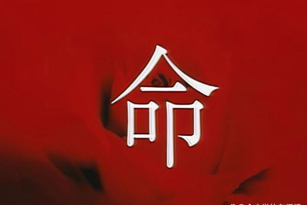 红色命盘解析：解锁你的财运、爱情运！