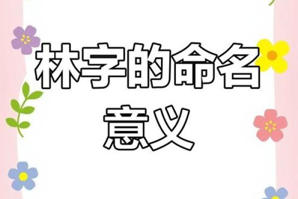 狗年林宝宝名字，寓意美好的选择分享