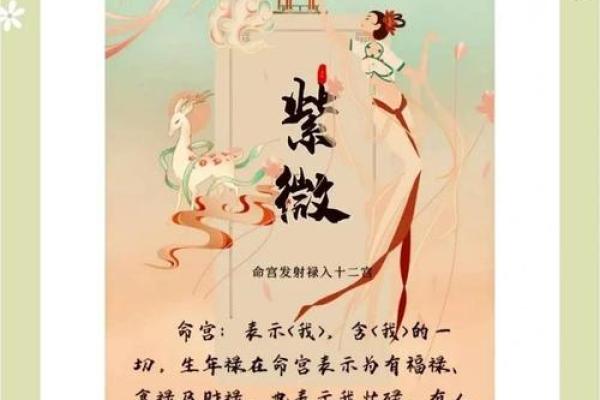 沈琦：文雅内敛，智慧璀璨——解析名字中的命运密码