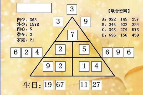 沈琦：文雅内敛，智慧璀璨——解析名字中的命运密码