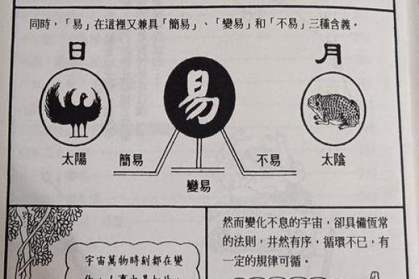 易经智慧：传统文化中的哲学精髓
