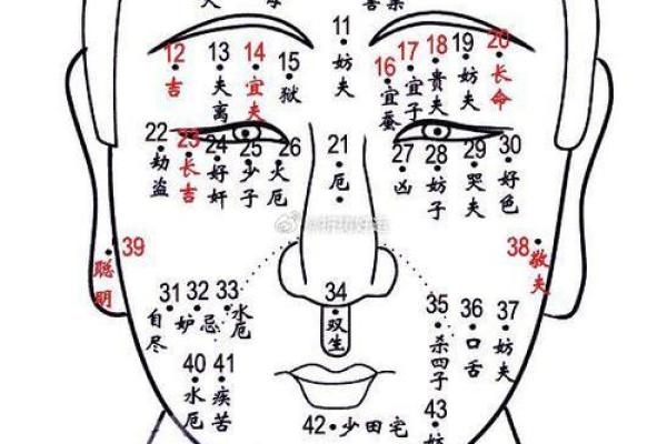 面痣藏金：痣相科学带你识破财运秘密