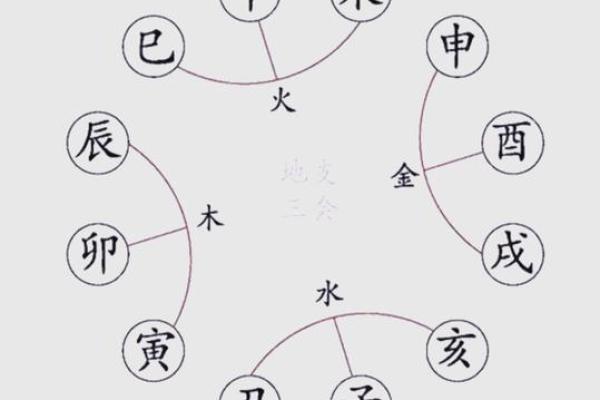 地支第三与命运的关系解析 地支第三与命运的关系解析