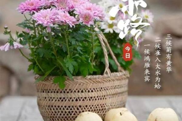 寒露降临，传统习俗共赏秋韵美