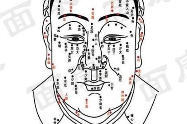 痣相解读手册，15种痣相揭示你的未来走向！