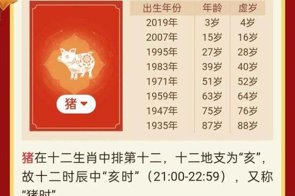 属猪人的运势与注意事项