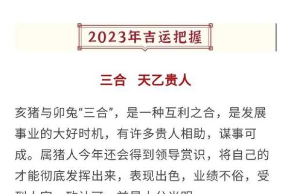 属猪人的运势与注意事项