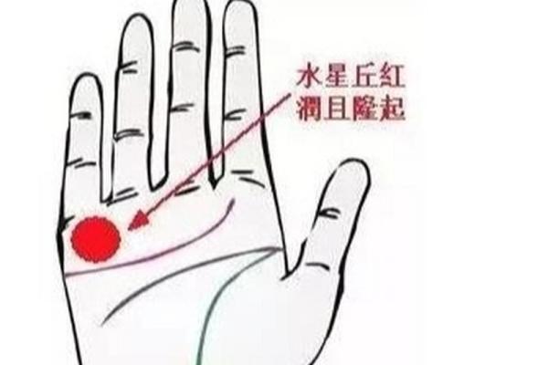 神奇手相揭秘:小指短竟预示着... 神奇手相揭秘:小指短竟预示着...