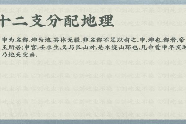 深入了解地支申金与申金之间的联系