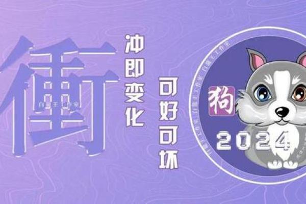 属狗人的运势趋势与建议