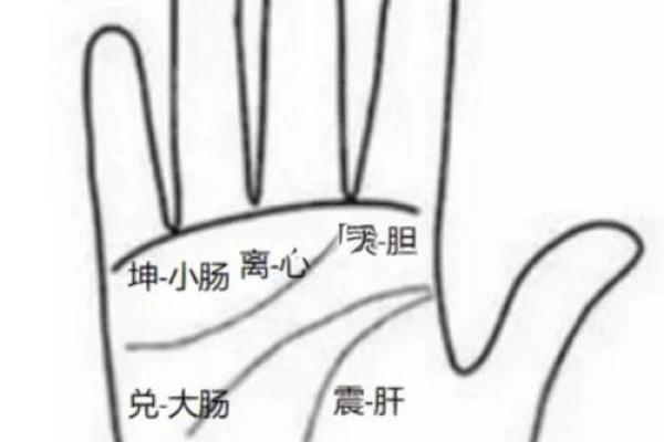 手掌透露健康秘密：小病早知道！