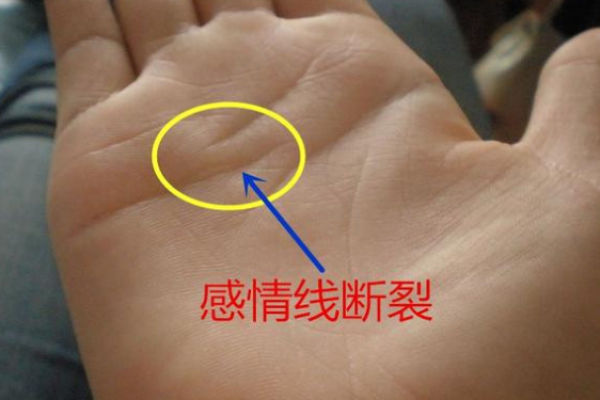 离婚预警!一招手相看你是否容易离婚 离婚预警!一招手相看你是否容易离婚