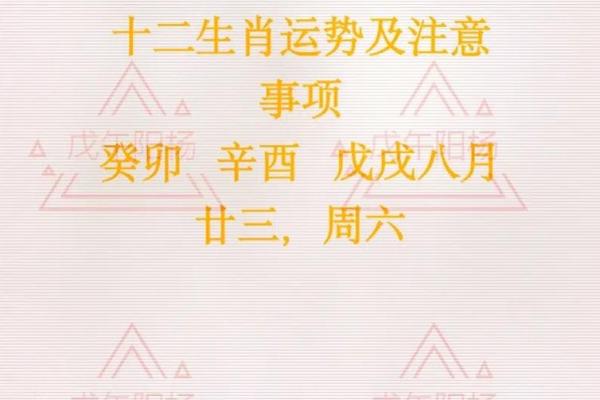 十月生肖运势大解析