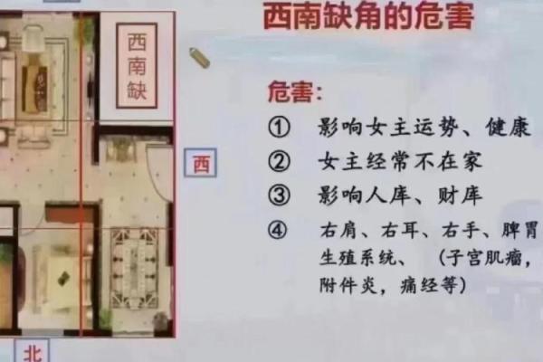 从姚元江风水学看环境与命运的关系