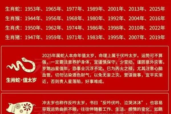 属蛇生辰八字如何影响人生运势