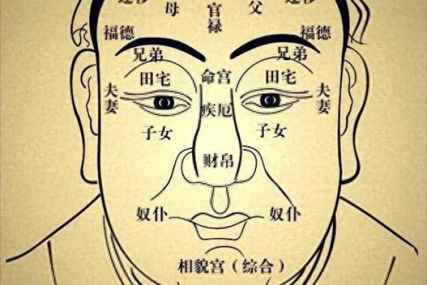 燕眼识人：揭秘面相中的智慧之眼