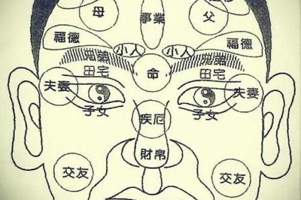 燕眼识人：揭秘面相中的智慧之眼