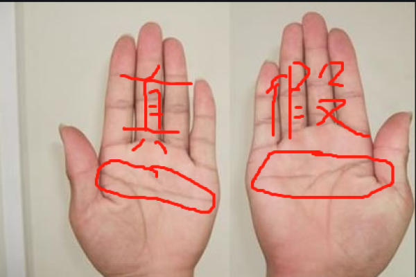 手相揭秘:右手断掌的运势密码大公开 手相揭秘:右手断掌的运势密码大公开