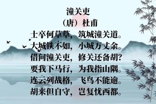有潼：寓意深远的名字背后故事