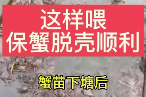 养殖蟹塘的风水布局与管理技巧