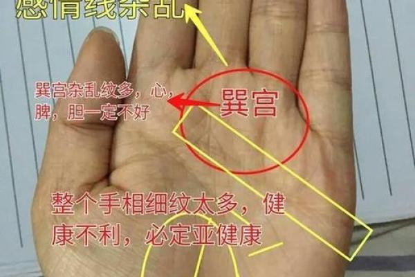 手相揭秘:情感线分叉多,多重情感命运如何? 手相揭秘:情感线分叉多,多重情感命运如何?