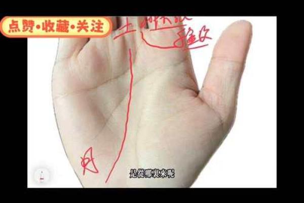 富婆手相大揭秘,看看你是否有财运! 富婆手相大揭秘,看看你是否有财运!