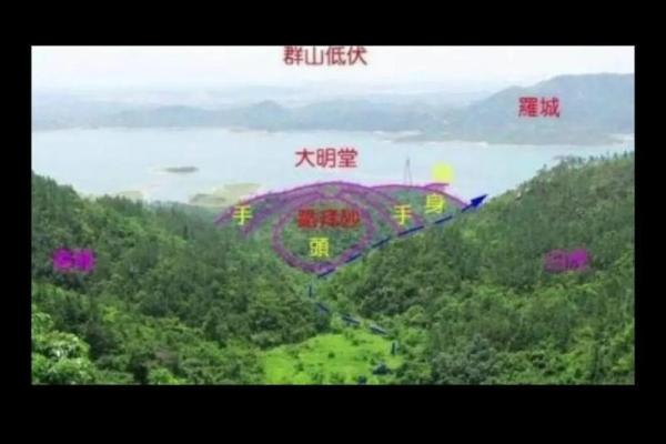 私密空间风水秘籍：打造单人办公室风水宝地