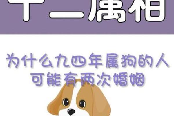 命理揭秘：孙海义教你循真识人术