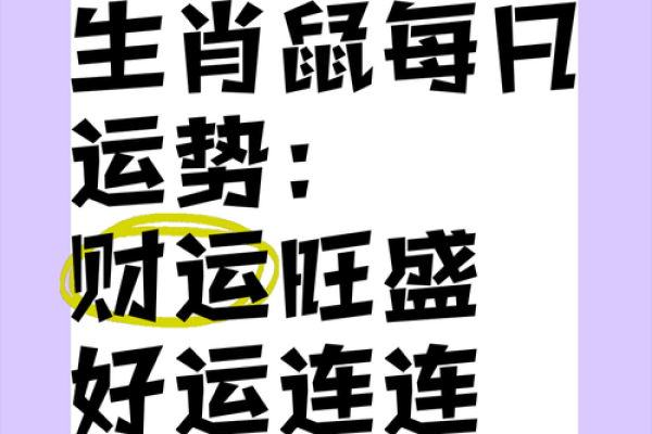 生肖鼠今日运势解析