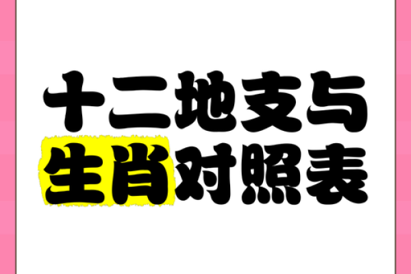 地支子与属相之间的神秘纽带